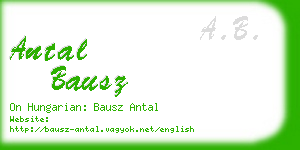 antal bausz business card